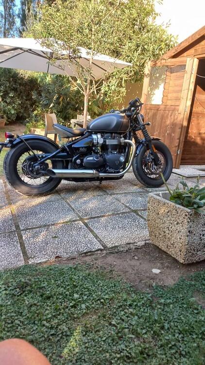 Triumph Bonneville Bobber 1200 Gold Line Edition (2022) (2)