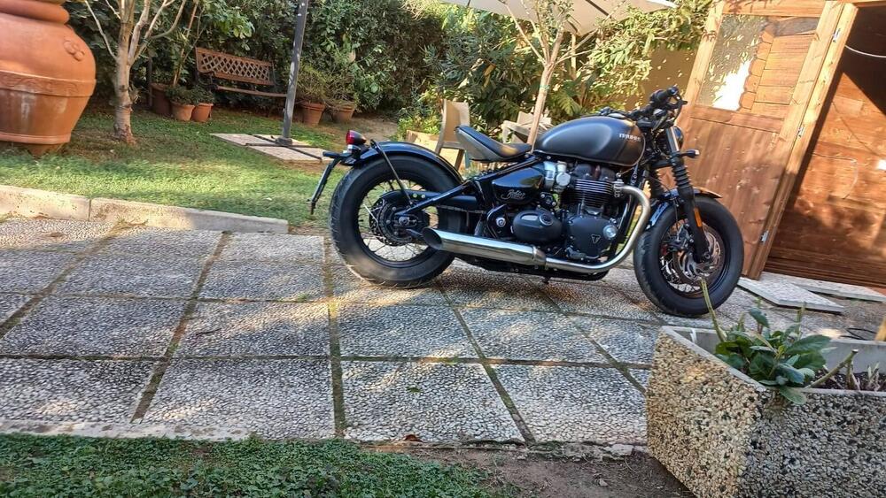 Triumph Bonneville Bobber 1200 Gold Line Edition (2022) (5)