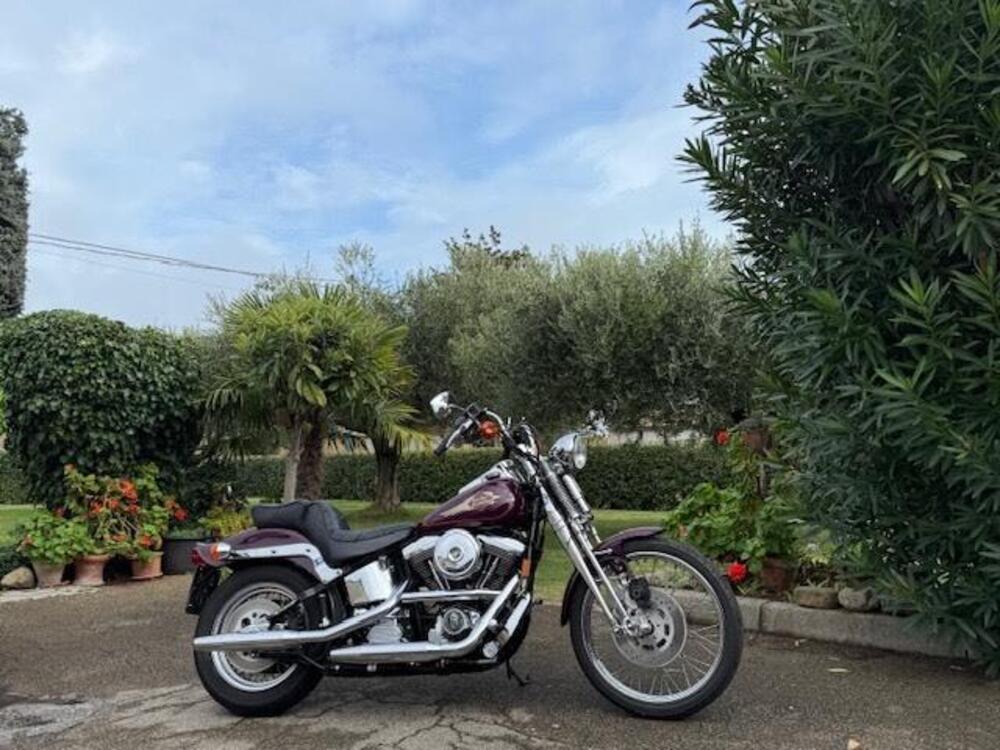 Harley-Davidson Softail Springer 1340 (2)