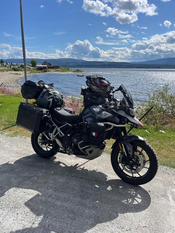 Triumph Tiger 900 GT Pro (2024 - 25) (3)