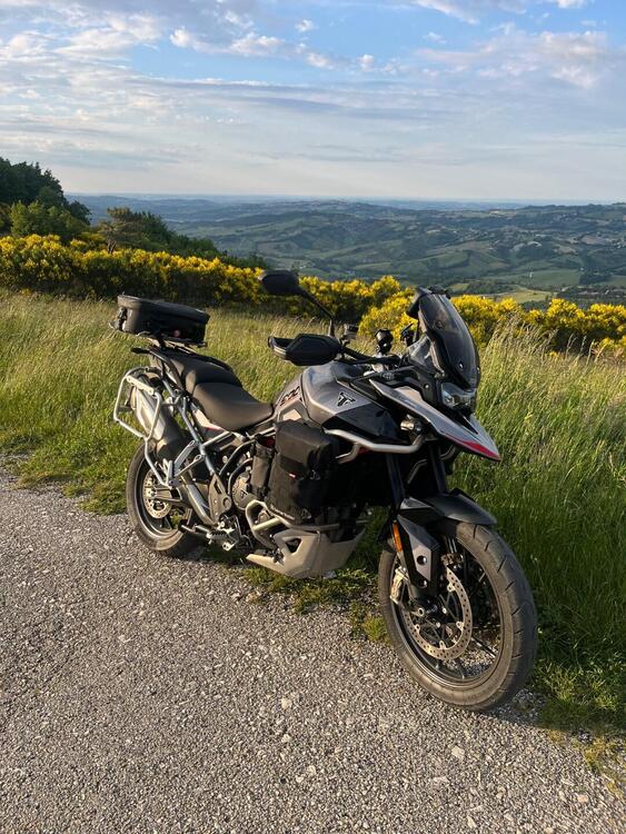 Triumph Tiger 900 GT Pro (2024 - 25) (5)