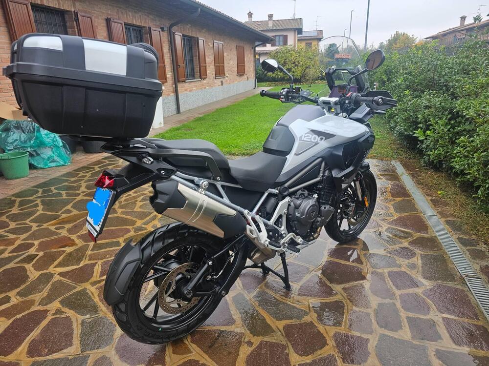 Triumph Tiger 1200 GT Pro (2024 - 25)