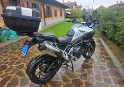 Triumph Tiger 1200 GT Pro (2024 - 25) usata