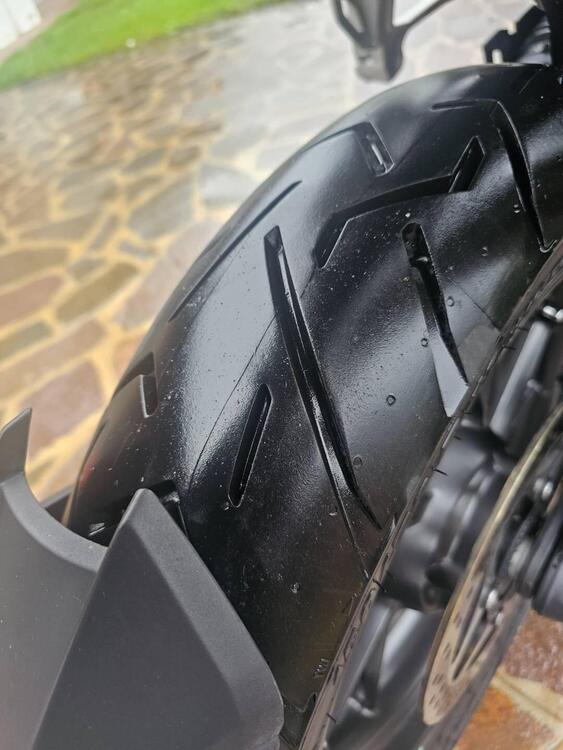 Triumph Tiger 1200 GT Pro (2024 - 25) (3)