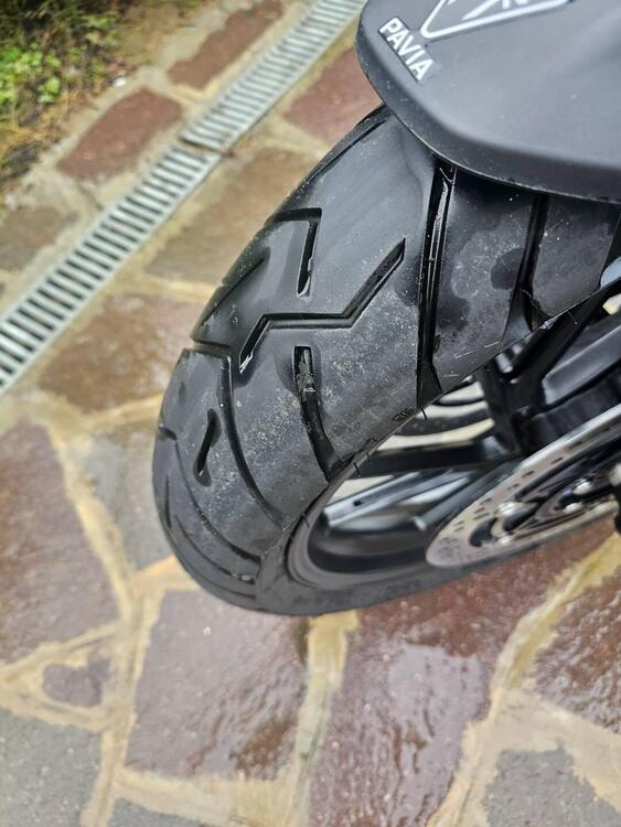 Triumph Tiger 1200 GT Pro (2024 - 25) (4)