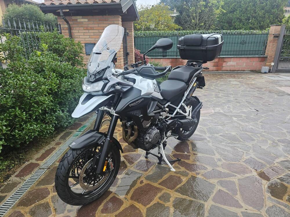 Triumph Tiger 1200 GT Pro (2024 - 25) (5)
