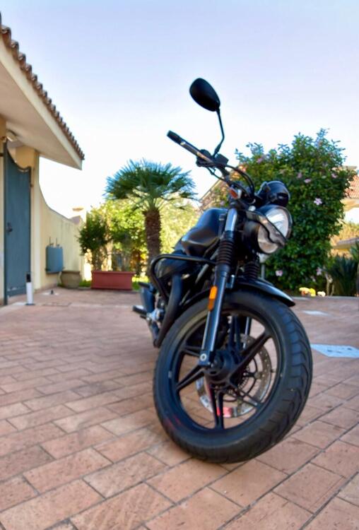 Moto Guzzi V7 Stone (2021 - 24) (5)