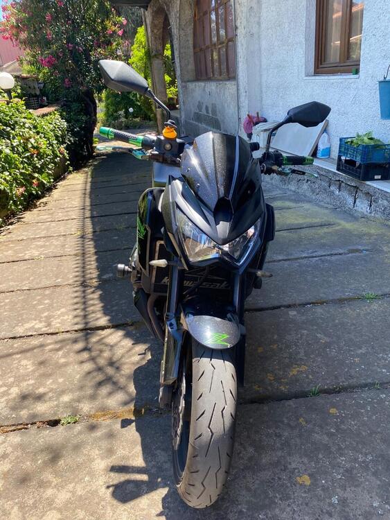 Kawasaki Z 800 e (2012 - 13) (2)