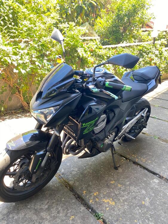 Kawasaki Z 800 e (2012 - 13) (5)