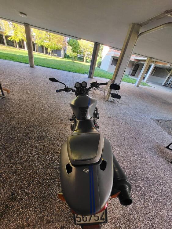 Honda Hornet 600 (2000 - 02) (5)