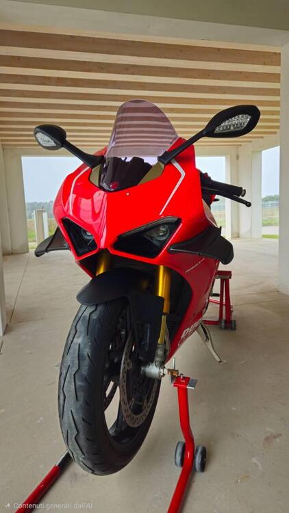 Ducati Panigale V4 S 1100 (2018 - 19) (3)
