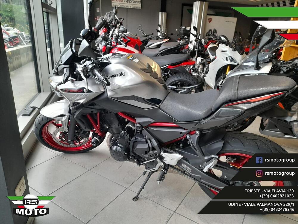 Kawasaki Z 650 (2021 - 24)