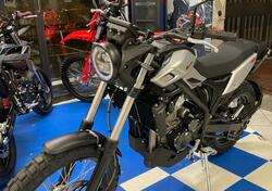 Betamotor Alp X (2024 - 25) nuova