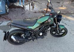 Benelli Leoncino 125 (2022 - 25) usata
