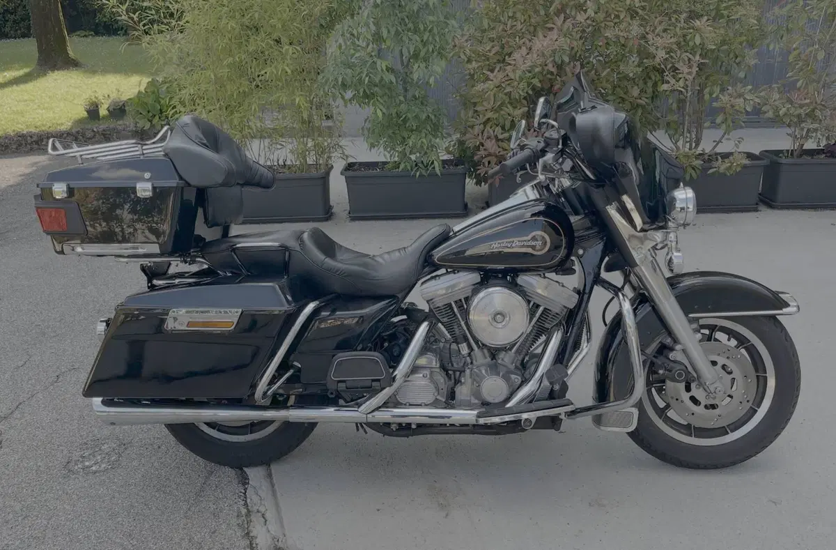 Harley-Davidson 1340 Electra Glide Standard (1995 - 99) - FLHT (3)