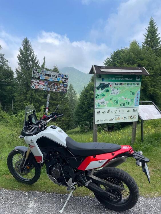 Yamaha Ténéré 700 (2019 - 20) (2)