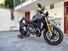 Ducati Monster 1200 S (2017 - 21) (6)