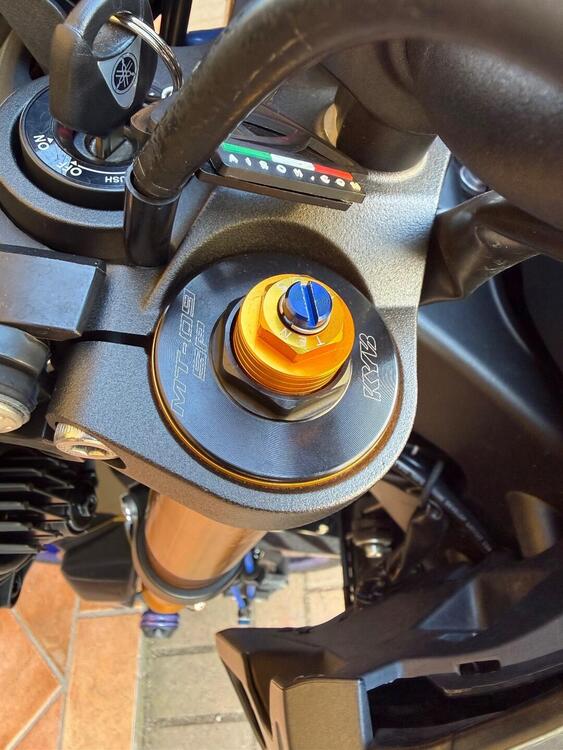 Yamaha MT-09 SP (2018 - 20) (5)