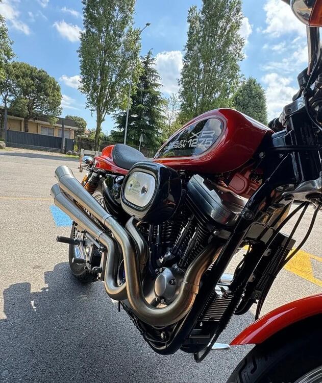 Harley-Davidson 1200 (1988 - 96) - HLX (4)