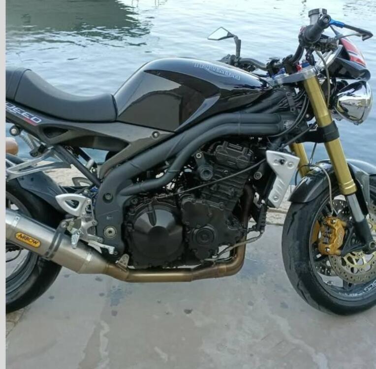 Triumph Speed Triple 1050 SE 15th Anniversary (2009 -10) (2)