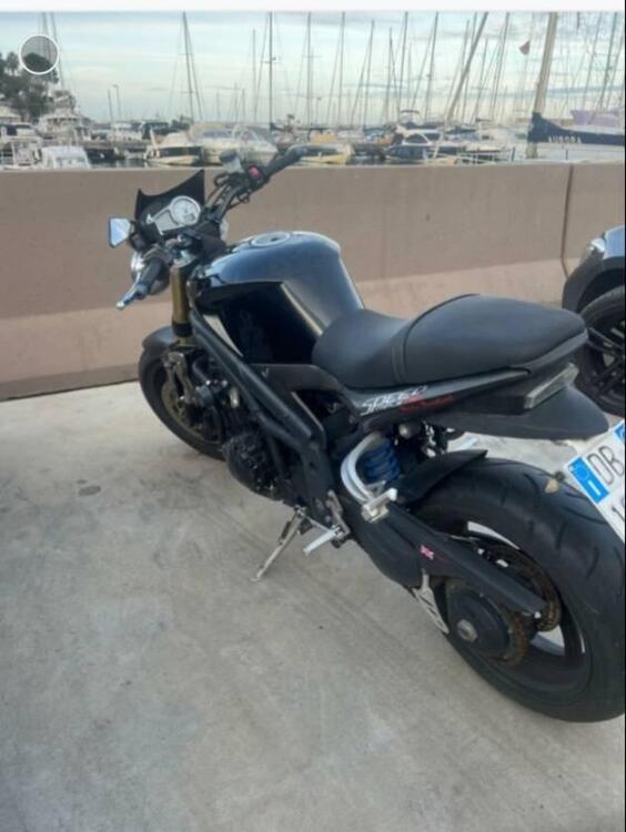 Triumph Speed Triple 1050 SE 15th Anniversary (2009 -10) (5)