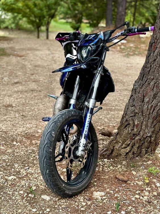 Betamotor RR 50 Motard (2018 - 20) (5)