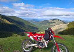 GASGAS EC 350 F (2023) usata