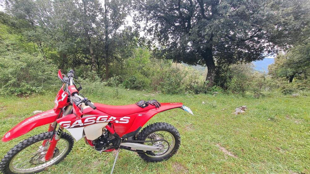 GASGAS EC 350 F (2023) (2)
