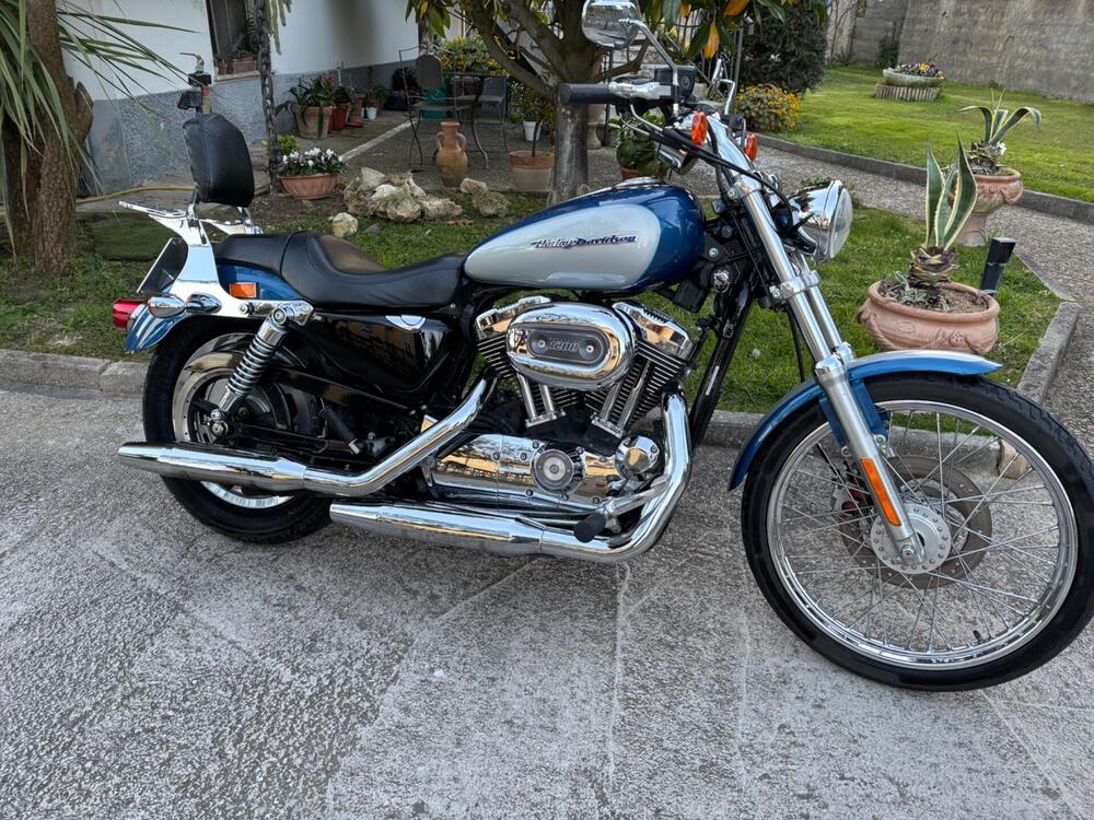 Harley-Davidson 1200 Custom (2004 - 06) - XL 1200C