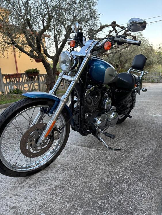 Harley-Davidson 1200 Custom (2004 - 06) - XL 1200C (4)