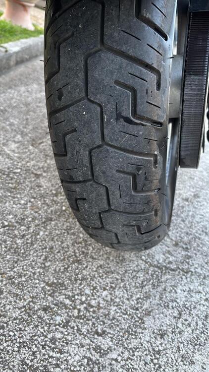 Harley-Davidson 1200 Custom (2004 - 06) - XL 1200C (5)