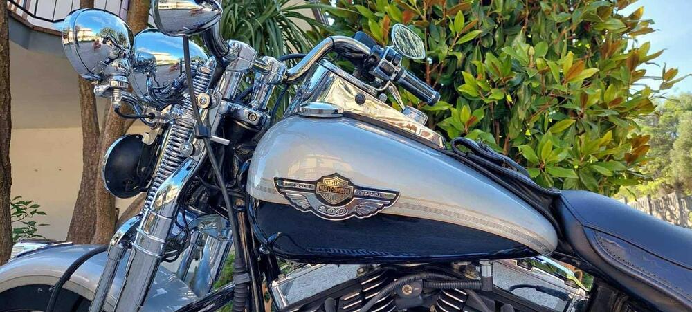 Harley-Davidson 1450 Heritage Springer (2000 - 03) - FLSTS (2)