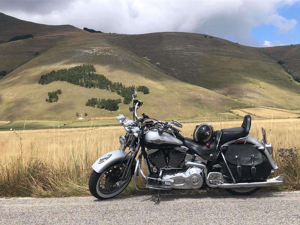 Harley-Davidson 1450 Heritage Springer (2000 - 03) - FLSTS (4)