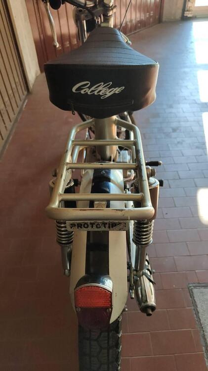 Oscar Milani COLLEGE