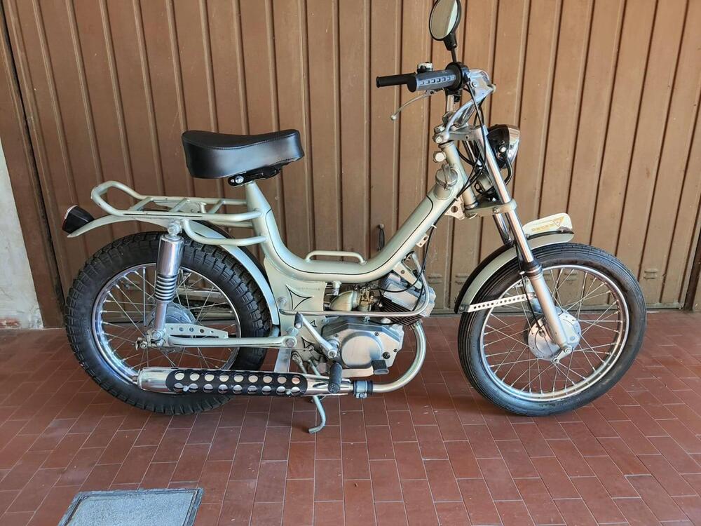 Oscar Milani COLLEGE (2)