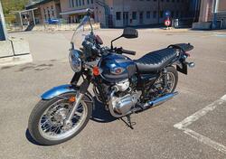 Kawasaki W 800 (2021 - 25) usata