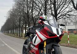 Ducati Panigale V2 Superquadro Final Edition (2024) usata