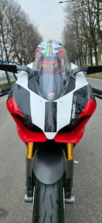 Ducati Panigale V2 Superquadro Final Edition (2024) (5)