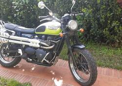Triumph Scrambler (2006 - 17) usata