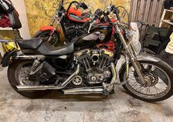 Harley-Davidson 1200 Custom (2004 - 06) - XL 1200C usata