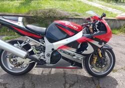 Suzuki GSX-R1000 (2000 - 02) usata
