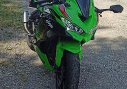 Kawasaki Ninja ZX-4RR (2024 - 26) usata