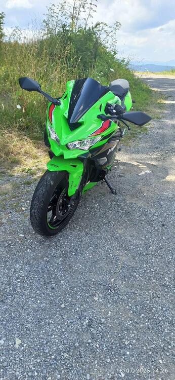 Kawasaki Ninja ZX-4RR (2024 - 26) (2)