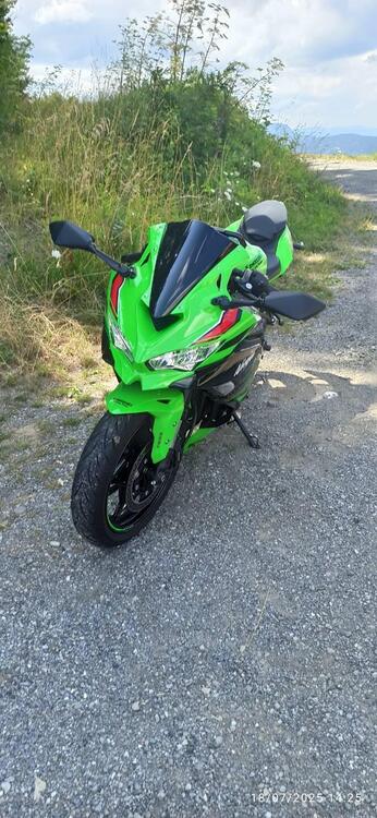 Kawasaki Ninja ZX-4RR (2024 - 26) (3)