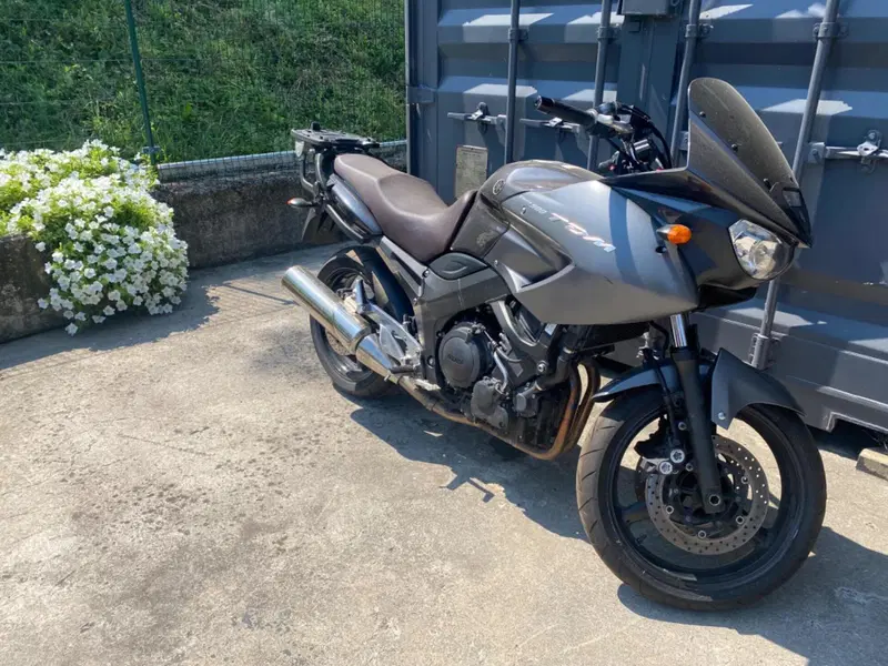 Yamaha TDM 900 (2002 - 14) (6)