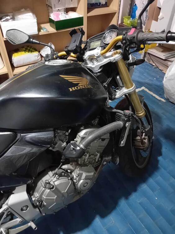 Honda Hornet 600 (2005 - 06)