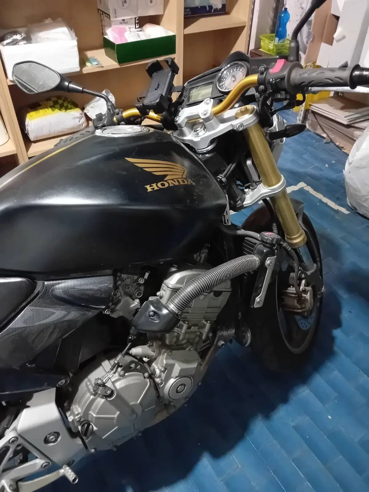 Honda Hornet 600 (2005 - 06)