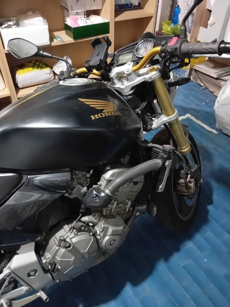 Honda Hornet 600 (2005 - 06)