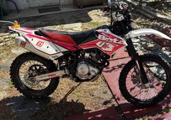 Betamotor RR 125 4T Enduro LC (2010 - 15) usata