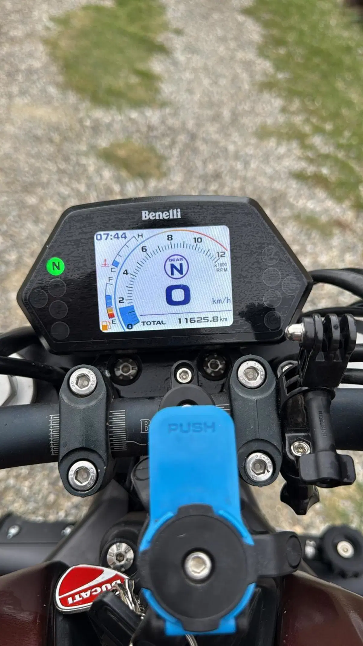 Benelli 502 C (2021 - 25) (3)
